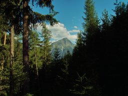 Österreich Tirol » Wurzbergalm